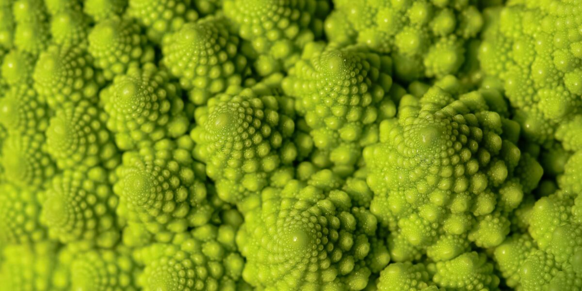 romanesco-head-close-up-green-romanesco-broccoli-2024-11-27-01-31-13-utc romanesco-head-close-up-green-romanesco-broccoli-2024-11-27-01-31-13-utc