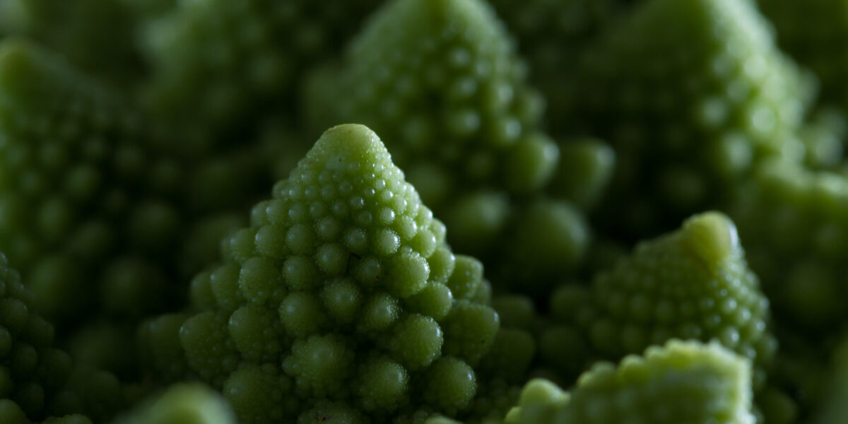 close-up-with-attention-to-the-detail-in-the-textu-2026-03-26-10-40-35-utc