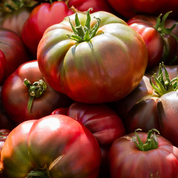 Fresh produce at the local Farmers Market.