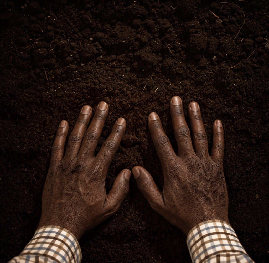 Here's something that sounds like pseudo-wellness nonsense until you read the research: there is a bacterium commonly found in soil that activates the same brain pathways as Prozac.