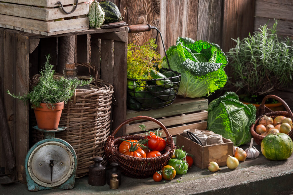 The timing gap between picking and eating is where most gardens fail. Here's how to close it.